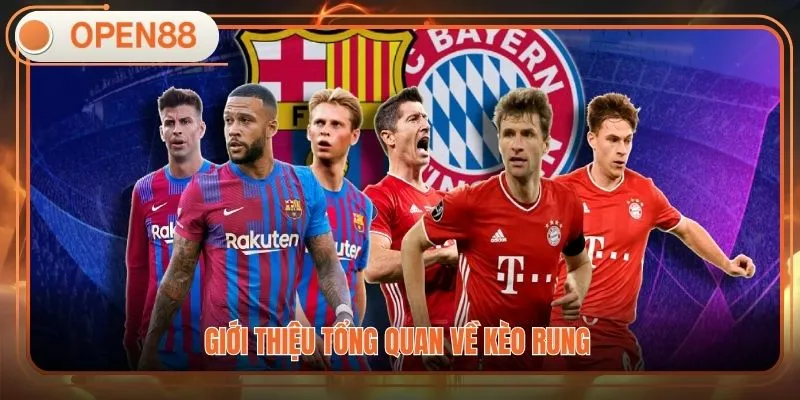 Giới thiệu tổng quan về kèo rung 